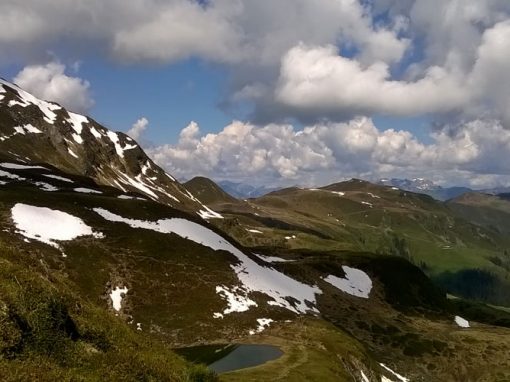 Trailrunning in den Kitzbüheler Alpen